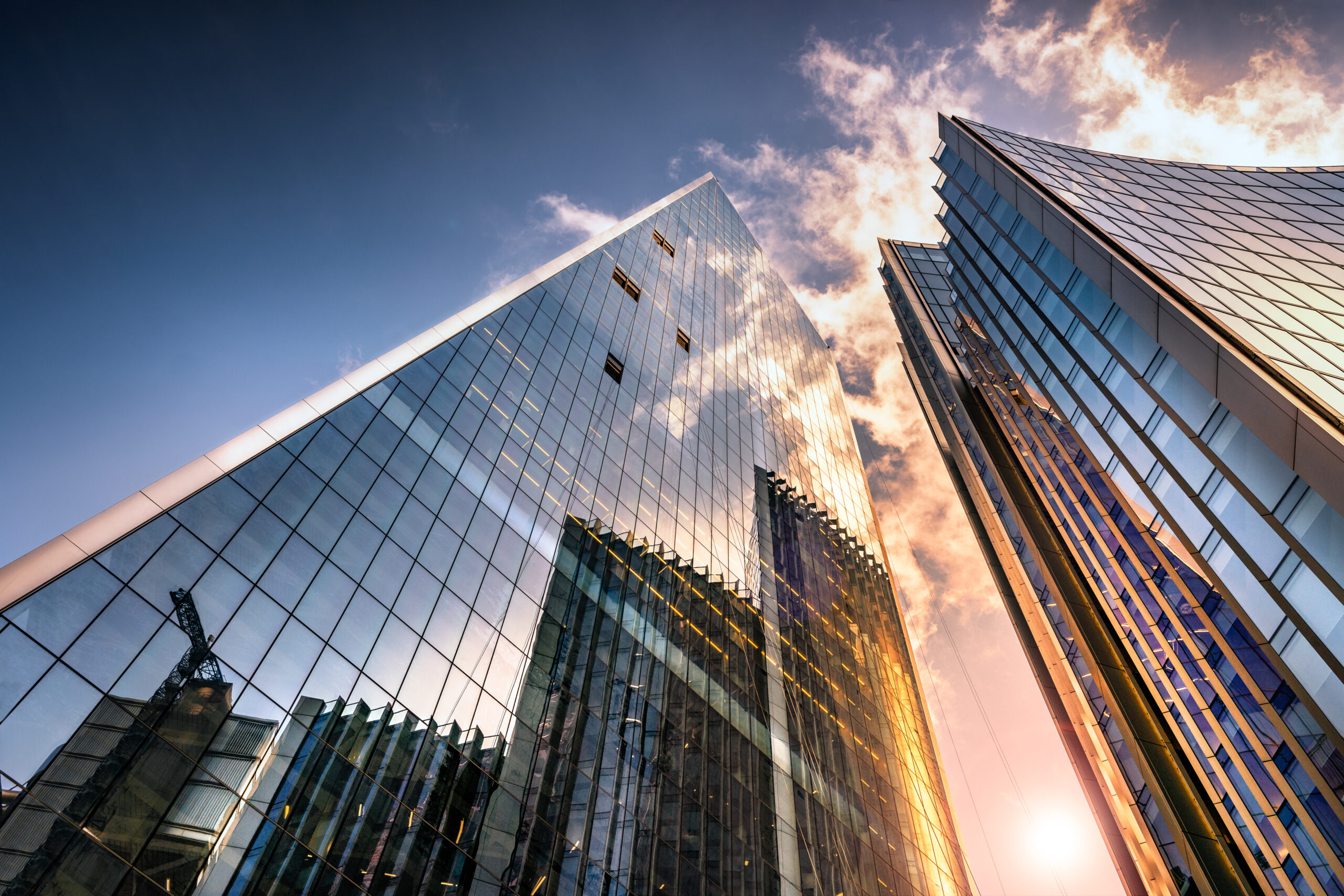 Corporate skyscrapers representing strategic capital allocation—symbolizing growth-minded investment oversight and scalable financial strategy